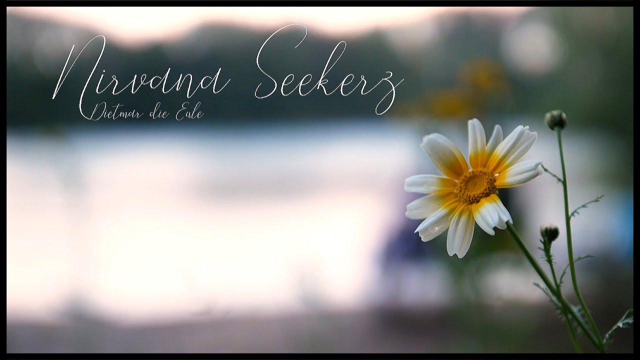 Standbild aus dem Video Nirvana Seekerz — Dietmar die Eule